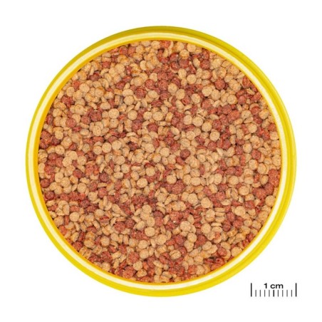 JBL ProNovo Color Grano M 250ml - granulato per colori brillanti per tutti i pesci tropicali da 8 a 20cm