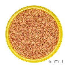 JBL ProNovo Color Grano S 100ml - granulato per colori brillanti per tutti i pesci tropicali da 3 a 10cm 2