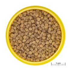 JBL ProNovo Fantail Grano M - Mangime base in granuli per Veiltails e altre varietà di pesce rosso da 8 a 20cm 2