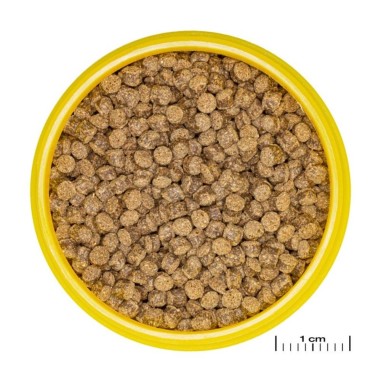 JBL ProNovo Fantail Grano M - Mangime base in granuli per Veiltails e altre varietà di pesce rosso da 8 a 20cm