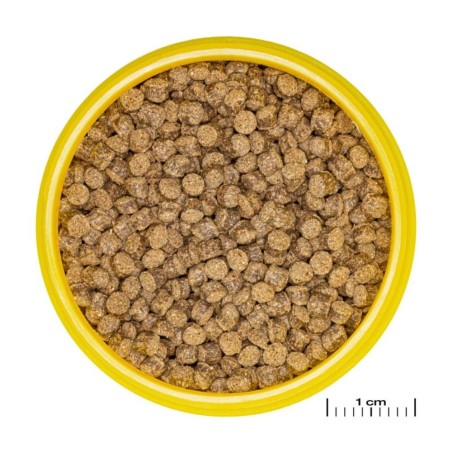 JBL ProNovo Fantail Grano M - Mangime base in granuli per Veiltails e altre varietà di pesce rosso da 8 a 20cm