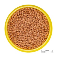 JBL ProNovo Fantail Grano S 100ml - Mangime base in granuli per Veiltails e altre varietà di pesce rosso da 3 a 10cm 2