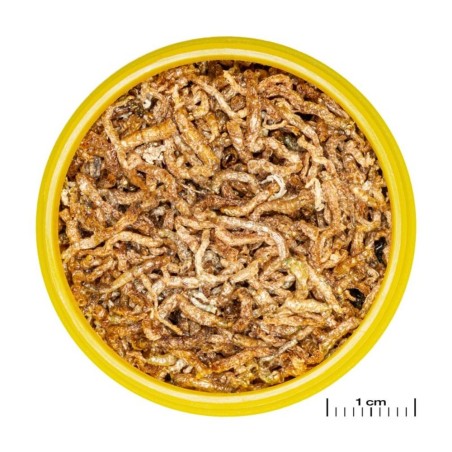 JBL ProNovo Fil 250ml - Chironomus liofilizzati per tutti i pesci tropicali JBL ProNovo Fil 250ml - Chironomus liofilizzati per tutti i pesci tropicali