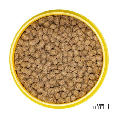 JBL ProNovo Lotl Grano M 250ml - Mangime base in granuli per Assolotti e Tritoni da 8 a 20cm