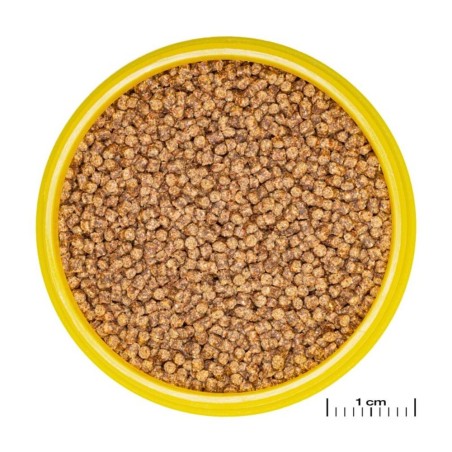 JBL ProNovo Lotl Grano S 100ml - Mangime base in granuli per Assolotti e Tritoni da 3 a 10cm