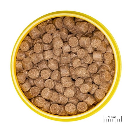 JBL ProNovo Lotl Grano XL 250ml - Mangime base in granuli per Assolotti e Tritoni da 15 a 25cm