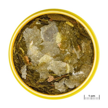 JBL ProNovo Malawi Flakes M - fioccato per Ciclidi da 8 a 20cm JBL ProNovo Malawi Flakes M - fioccato per Ciclidi da 8 a 20cm