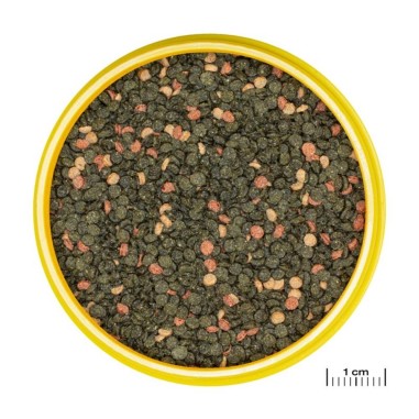JBL ProNovo Malawi Grano M - granulato per Ciclidi da 8 a 20cm