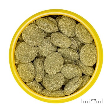JBL ProNovo Pleco M - Compresse di mangime per loricaridi erbivori da 1 a 20cm