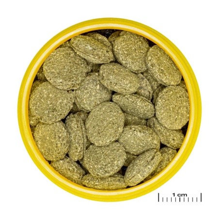 JBL ProNovo Pleco M - Compresse di mangime per loricaridi erbivori da 1 a 20cm JBL ProNovo Pleco M - Compresse di mangime per loricaridi erbivori da 1 a 20cm
