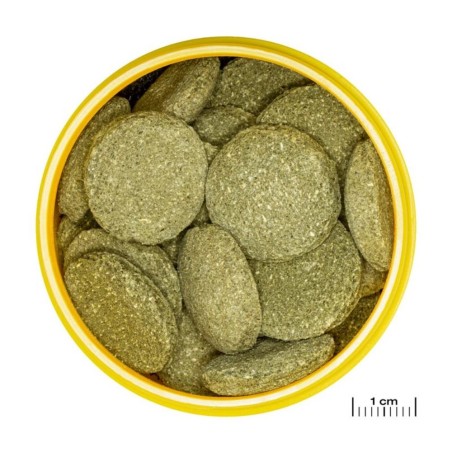 JBL ProNovo Pleco XL - Compresse di mangime per loricaridi erbivori da 15 a 40cm JBL ProNovo Pleco XL - Compresse di mangime per loricaridi erbivori da 15 a 40cm