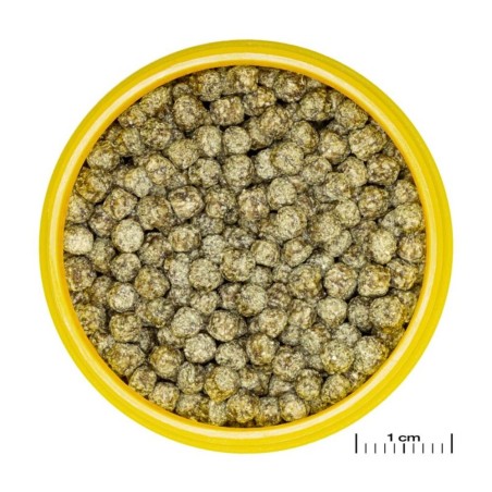 JBL ProNovo Red Grano M - Mangime base in granuli per tutti i pesci rossi da 8 a 20cm