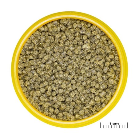 JBL ProNovo Shrimps Grano S 100ml - granulato per Caridine e gamberetti JBL ProNovo Shrimps Grano S 100ml - granulato per Caridine e gamberetti