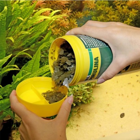 JBL ProNovo Spirulina Flakes M - Mangime in fiocchi a base di spirulina per tutti i pesci da 8 a 20 cm JBL ProNovo Spirulina Flakes M - Mangime in fiocchi a base di spirulina per tutti i pesci da 8 a 20 cm