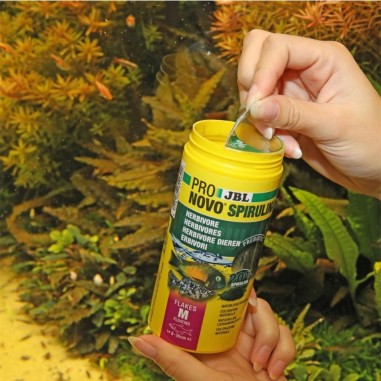 JBL ProNovo Spirulina Flakes M - Mangime in fiocchi a base di spirulina per tutti i pesci da 8 a 20 cm
