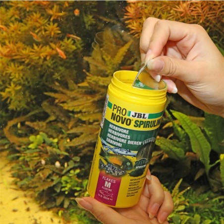 JBL ProNovo Spirulina Flakes M - Mangime in fiocchi a base di spirulina per tutti i pesci da 8 a 20 cm JBL ProNovo Spirulina Flakes M - Mangime in fiocchi a base di spirulina per tutti i pesci da 8 a 20 cm