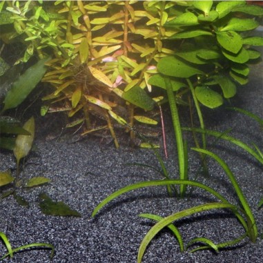 JBL Sansibar Dark - sabbia nera di origine vulcanica per acquari granulometria 0,2-0,5mm