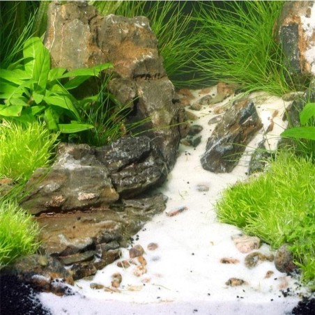 JBL Sansibar White - sabbia bianca di quarzo fine granulometria 0,1-0,4mm JBL Sansibar White - sabbia bianca di quarzo fine granulometria 0,1-0,4mm