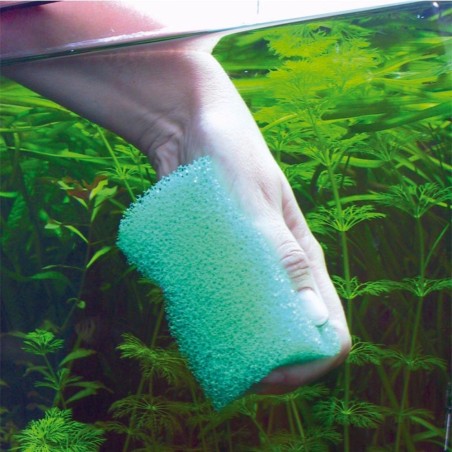 JBL Spongi - Spugna per la Rimozione di Alghe e Sporcizia dai Vetri dell'acquario JBL Spongi - Spugna per la Rimozione di Alghe e Sporcizia dai Vetri dell'acquario