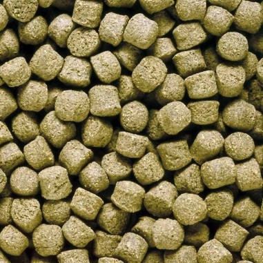 Hikari Cichlid Excel Medium 250gr ( Pellet Completo per Ciclidi Africani ed altri Pesci Erbivori di Media e Grossa Taglia