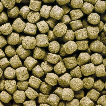 Hikari Cichlid Excel Medium 250gr ( Pellet Completo per Ciclidi Africani ed altri Pesci Erbivori di Media e Grossa Taglia Hikari Cichlid Excel Medium 250gr ( Pellet Completo per Ciclidi Africani ed altri Pesci Erbivori di Media e Grossa Taglia