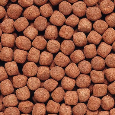 Hikari Cichlid Gold Large Pellet 250gr