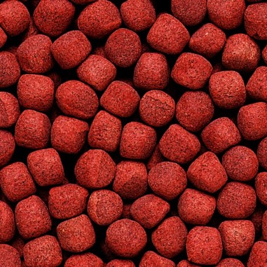 Hikari Cichlid Gold Medium Pellet 250gr