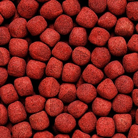 Hikari Cichlid Gold Medium Pellet 250gr