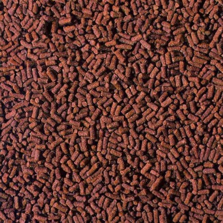 Hikari Crab Cuisine 50gr - Pellet Completo per tutti Crostacei-Paguri, Gamberetti, Granchi ed altre Specie Hikari Crab Cuisine 50gr - Pellet Completo per tutti Crostacei-Paguri, Gamberetti, Granchi ed altre Specie