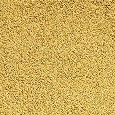 Hikari First Bites 10gr - Svezzamento Prima Fase per Tutte le Specie di Avannotti