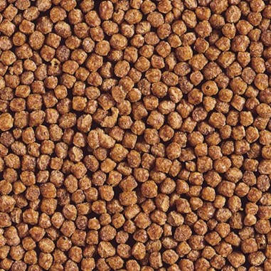 Hikari Goldfish Gold Baby Pellet - mangime premium per pesci rossi e piccole carpe Koi