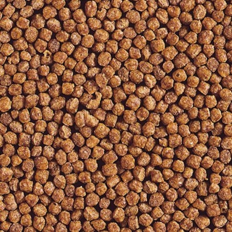 Hikari Goldfish Gold Baby Pellet - mangime premium per pesci rossi e piccole carpe Koi