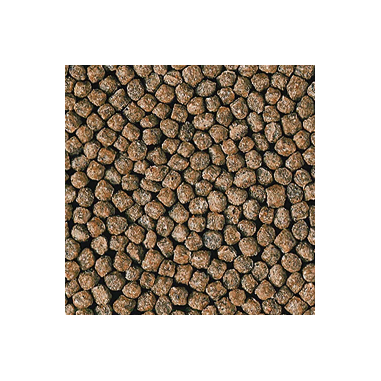 Hikari Goldfish Staple Baby Pellet - mangime galleggiante per persci rossi e piccole carpe Koi