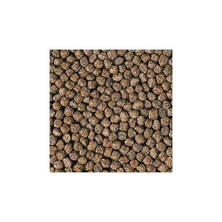 Hikari Goldfish Staple Baby Pellet - mangime galleggiante per persci rossi e piccole carpe Koi