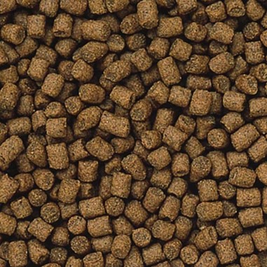Hikari Lionhead Mini Pellet 100gr - mangime completo per pesci rossi ornamental, specifico per Teste di Leone