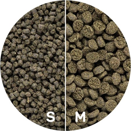 Hikari Seaweed Extreme Small Pellet