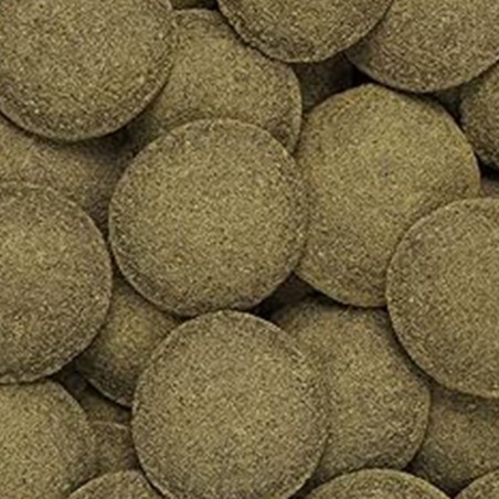 Hikari Tropical Algae Wafers – mangime per Plecostomus e altri mangiatori di alghe Hikari Tropical Algae Wafers – mangime per Plecostomus e altri mangiatori di alghe