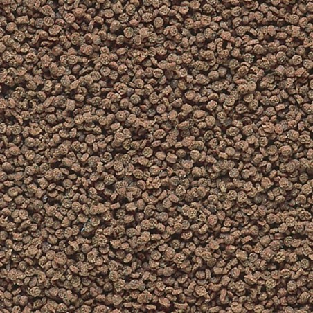 Hikari Tropical Micro Wafers - Alimento Completo Ideale per Specie Vivipare Ciclidi e Pesce Gatto Hikari Tropical Micro Wafers - Alimento Completo Ideale per Specie Vivipare Ciclidi e Pesce Gatto