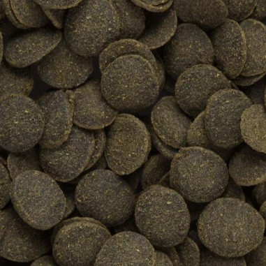 Hikari Tropical Mini Algae Wafers – mangime per Plecostomus e altri mangiatori di alghe