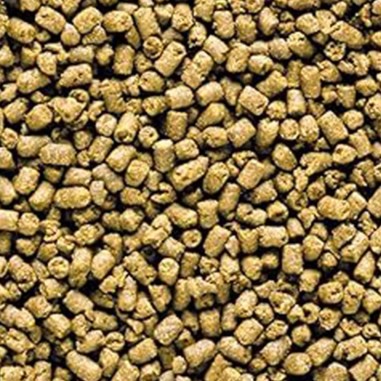 Saki-Hikari Marine Carnivore Sinking Type M 40gr - Mangime Affondante per Pesci Marini