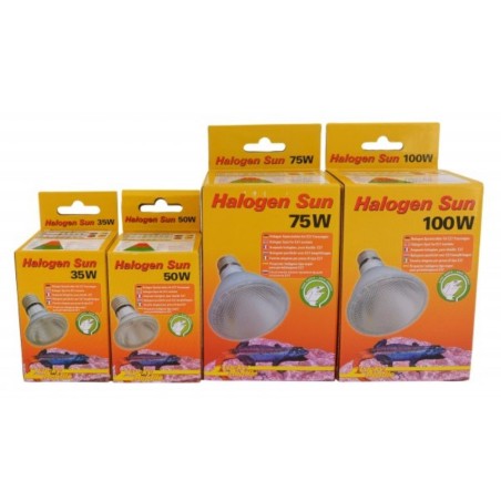 Lucky Reptile Halogen Sun - lampada alogena attacco E27 per rettili