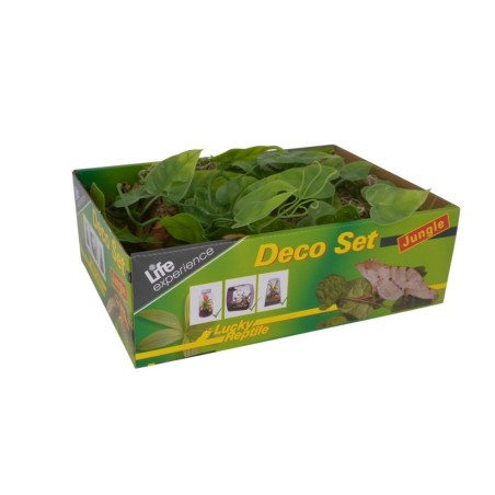 Lucky Reptile Life Experience Deco Set Jungle - set di decorazioni per terrari tropicali