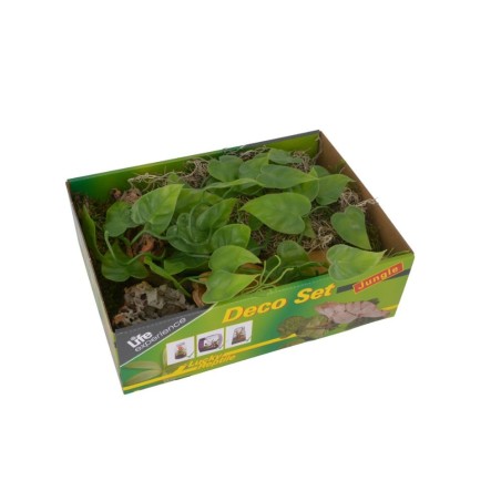 Lucky Reptile Life Experience Deco Set Jungle - set di decorazioni per terrari tropicali