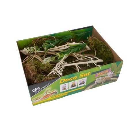 Lucky Reptile Life Experience Deco Set Mantis - set di decorazioni per insetti tropicali