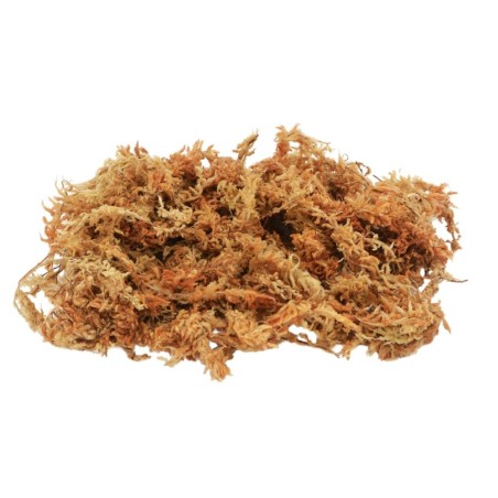 Lucky Reptile Spaghnum Moss 100gr - muschio espandibile