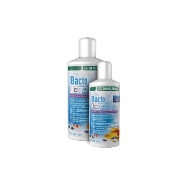 Dennerle Bacto Elixier FB7 - attivatore batterico