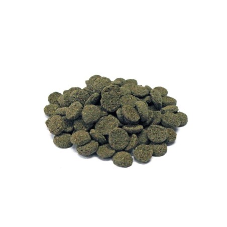 Prodac Algae Wafers Mini 100ml/50gr Prodac Algae Wafers Mini 100ml/50gr