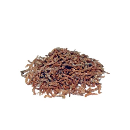 Prodac Bloodworms - Chironomus Liofilizzati