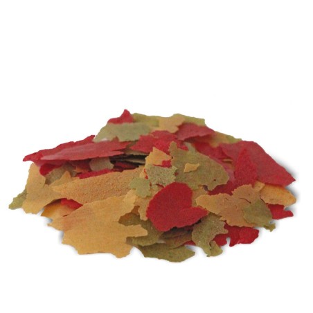 Prodac Color Fish Flakes 250ml / peso 50gr - Alimento per Tutti i Pesci Tropicali Arricchito con Astaxantina e Cantaxantina Prodac Color Fish Flakes 250ml / peso 50gr - Alimento per Tutti i Pesci Tropicali Arricchito con Astaxantina e Cantaxantina