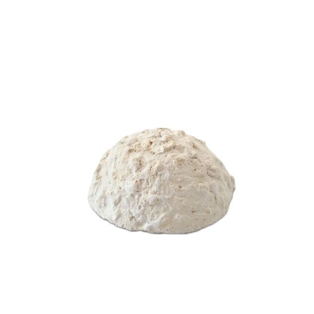 Prodac Holiday 20gr - Blocco di Mangime per Assenze Prolungate Prodac Holiday 20gr - Blocco di Mangime per Assenze Prolungate